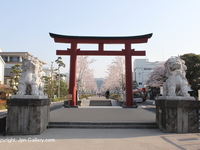 鶴岡八幡宮_段葛