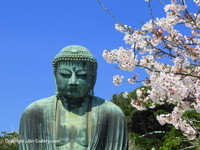 鎌倉大仏殿高徳院