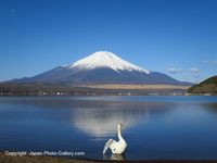 山中湖