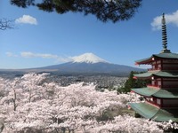 新倉山浅間公園